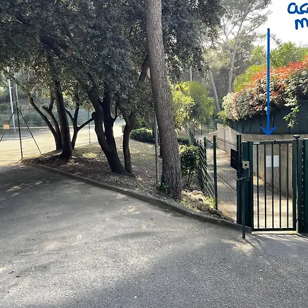 Mignon De Climatise Avec Piscine Et A 6mn A Pied *